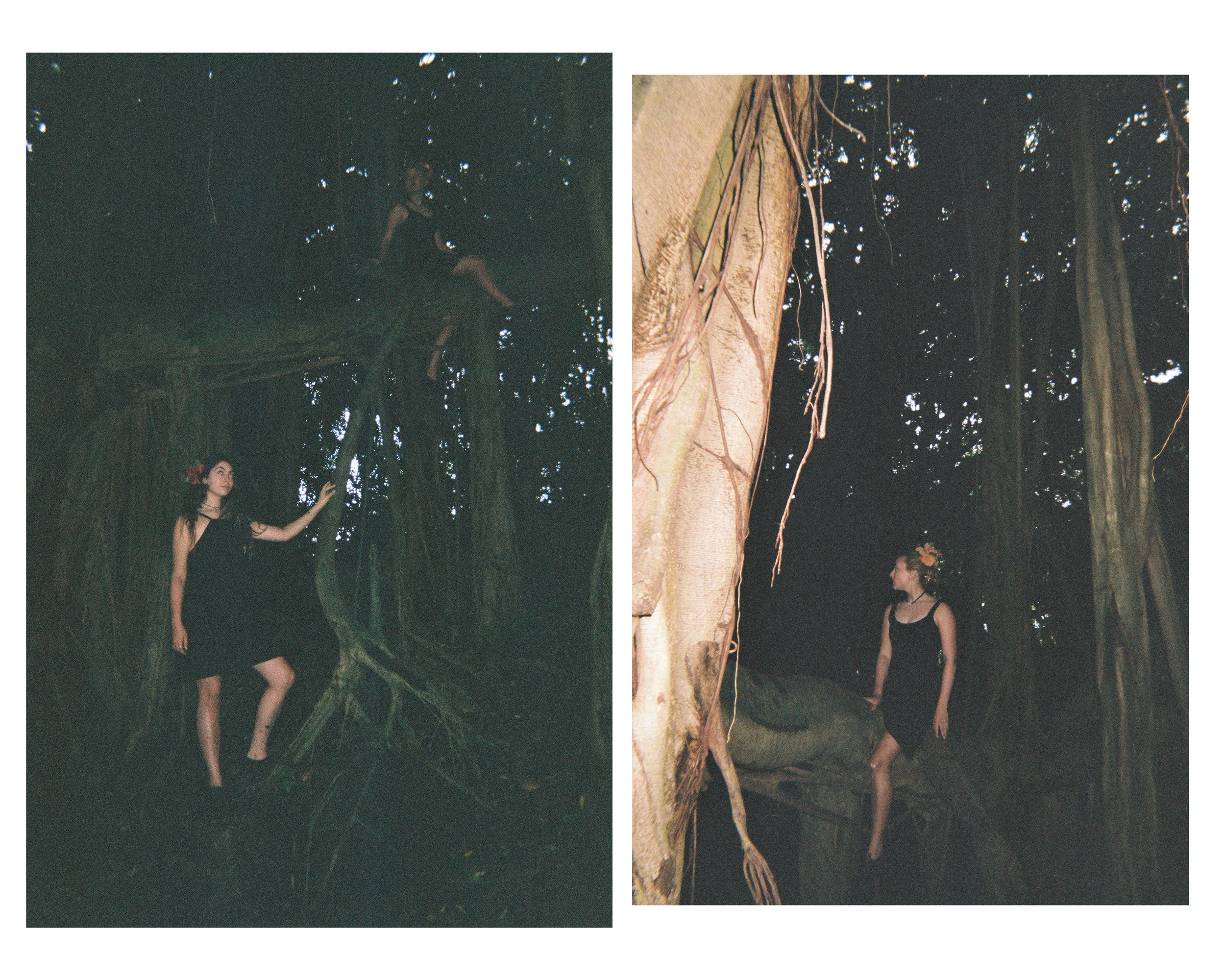 trees.jpg