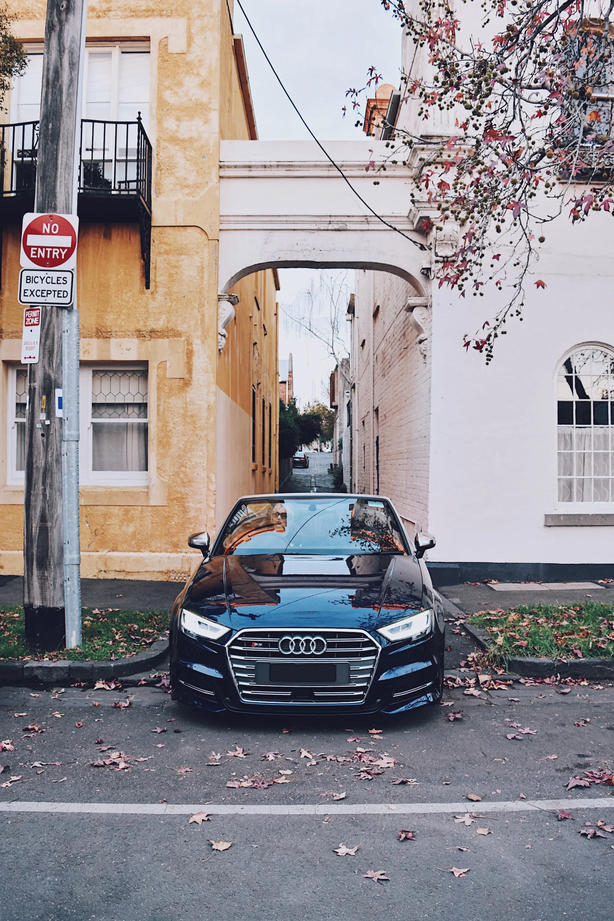 Two Stylish Beauties: Joey and Her Drive Audrey, the 2017 AUDI S3 Cabriolet 