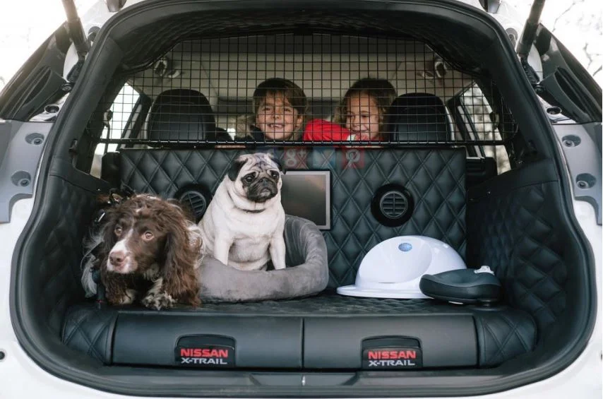 Dog lovers especially these fur babies would find the Nissan X-Trail Concept very appealing