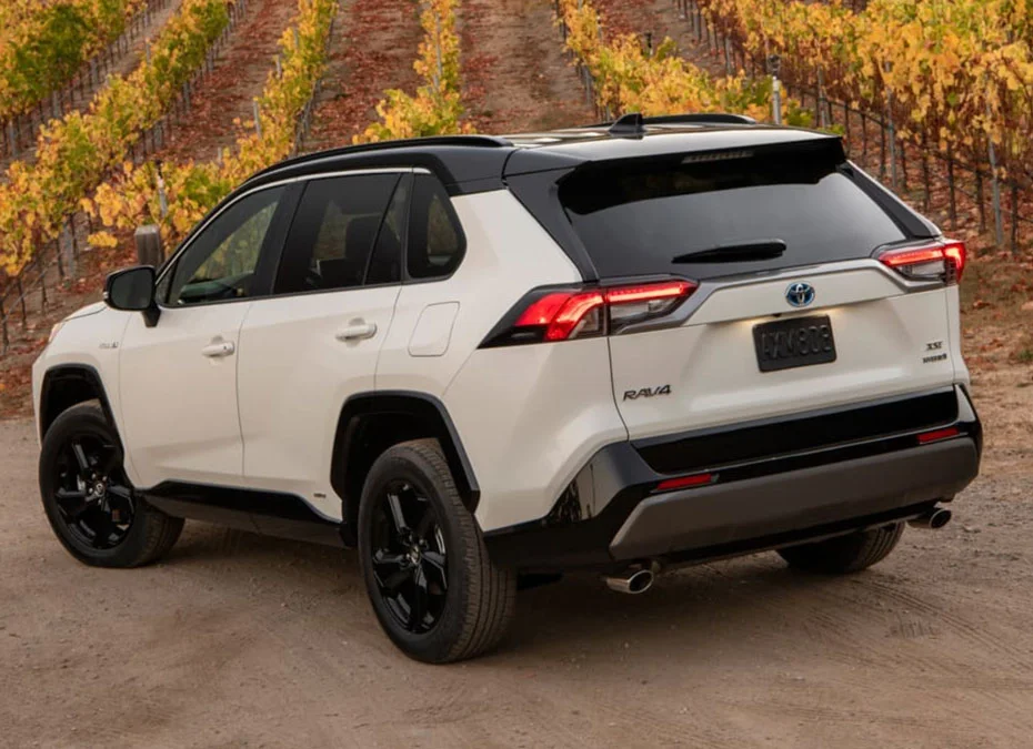 Toyota-Rav4-2019-Rear.jpg
