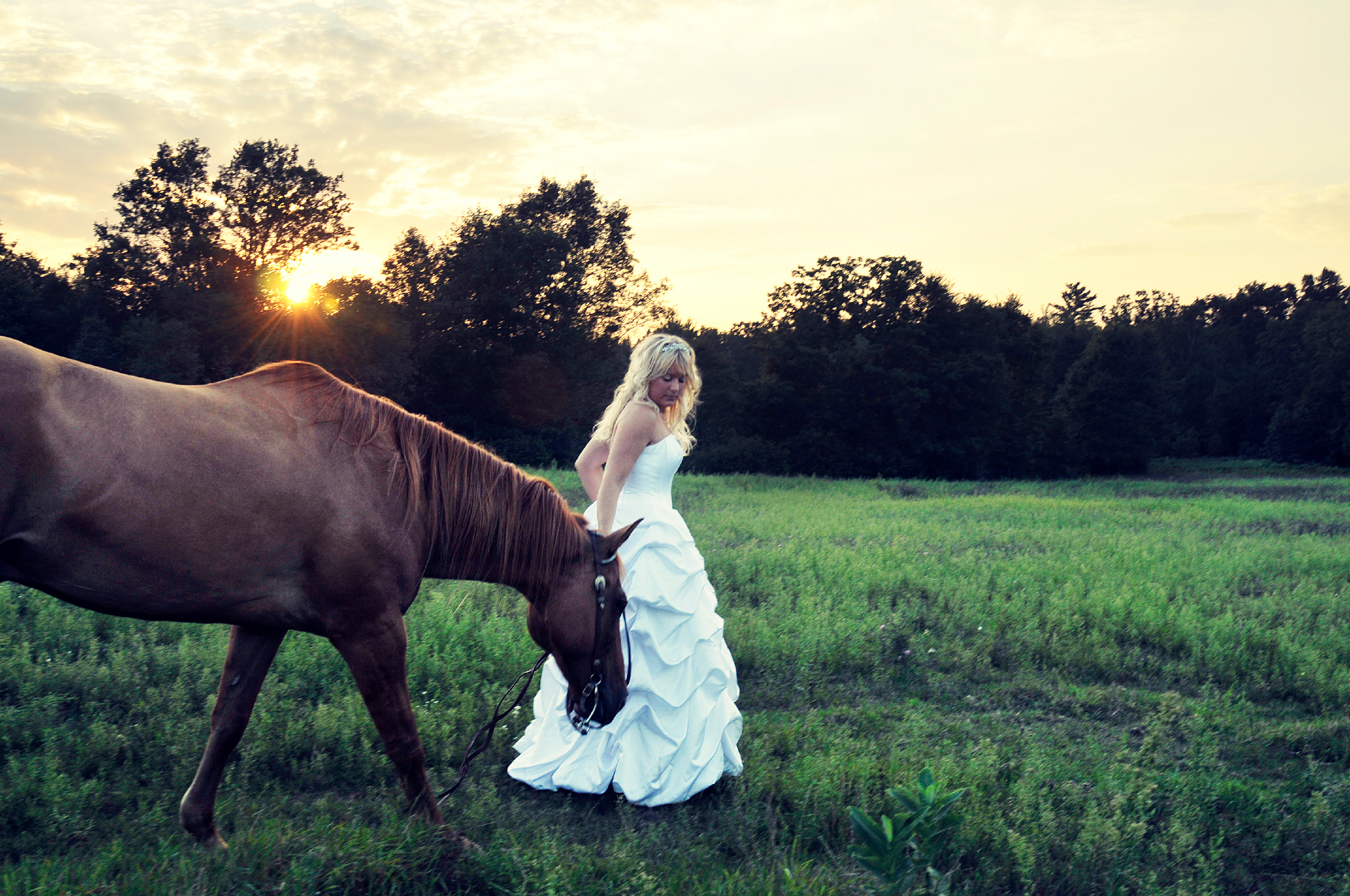Bride with Horse