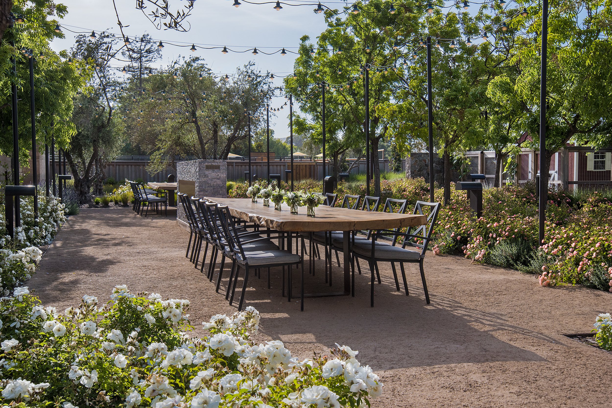 Crystal-Waye-Hospitality-Photography-Napa-Carneros-GatherineTables.jpg