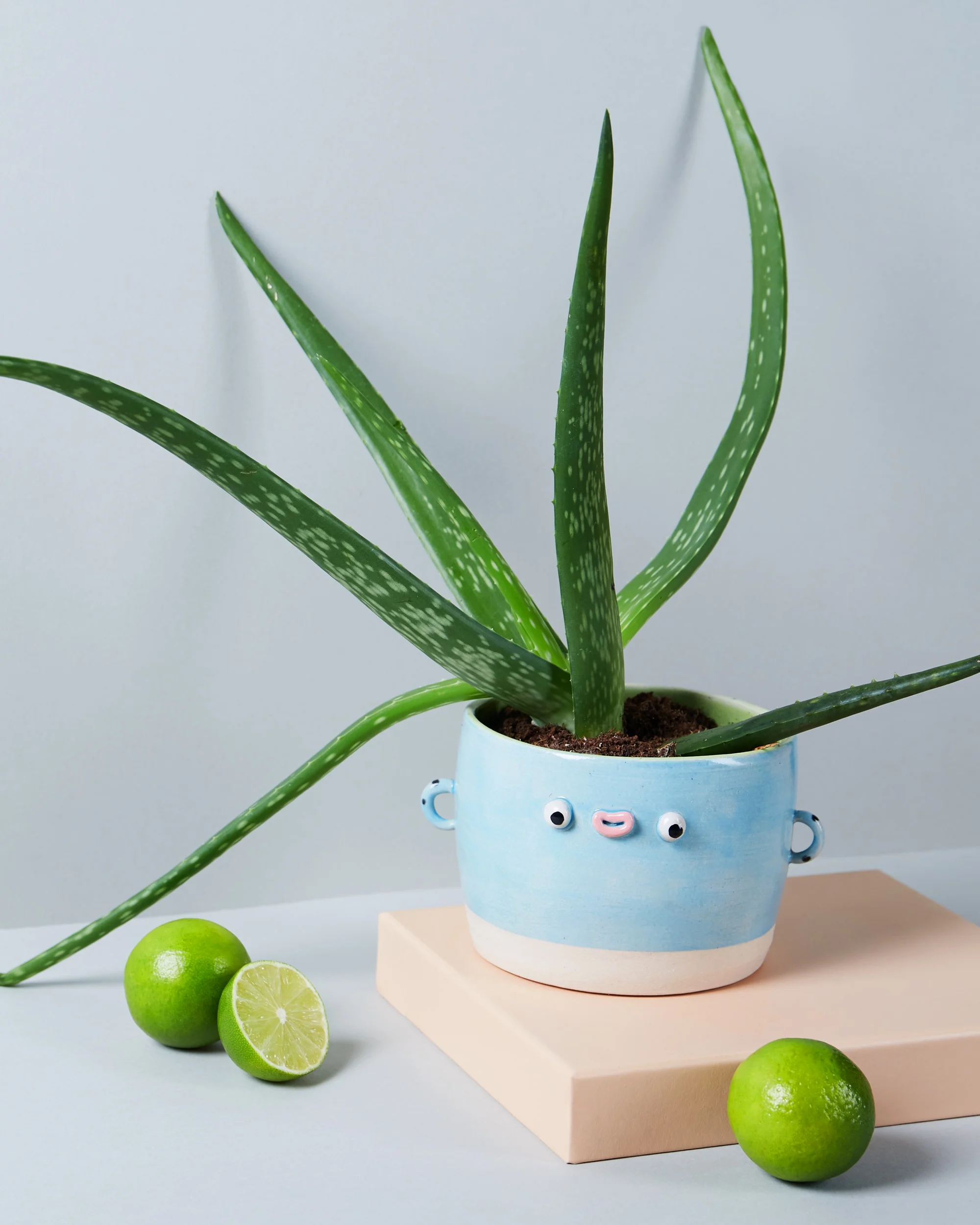 _BLUE_POT_MAIN_IMAGE.jpg