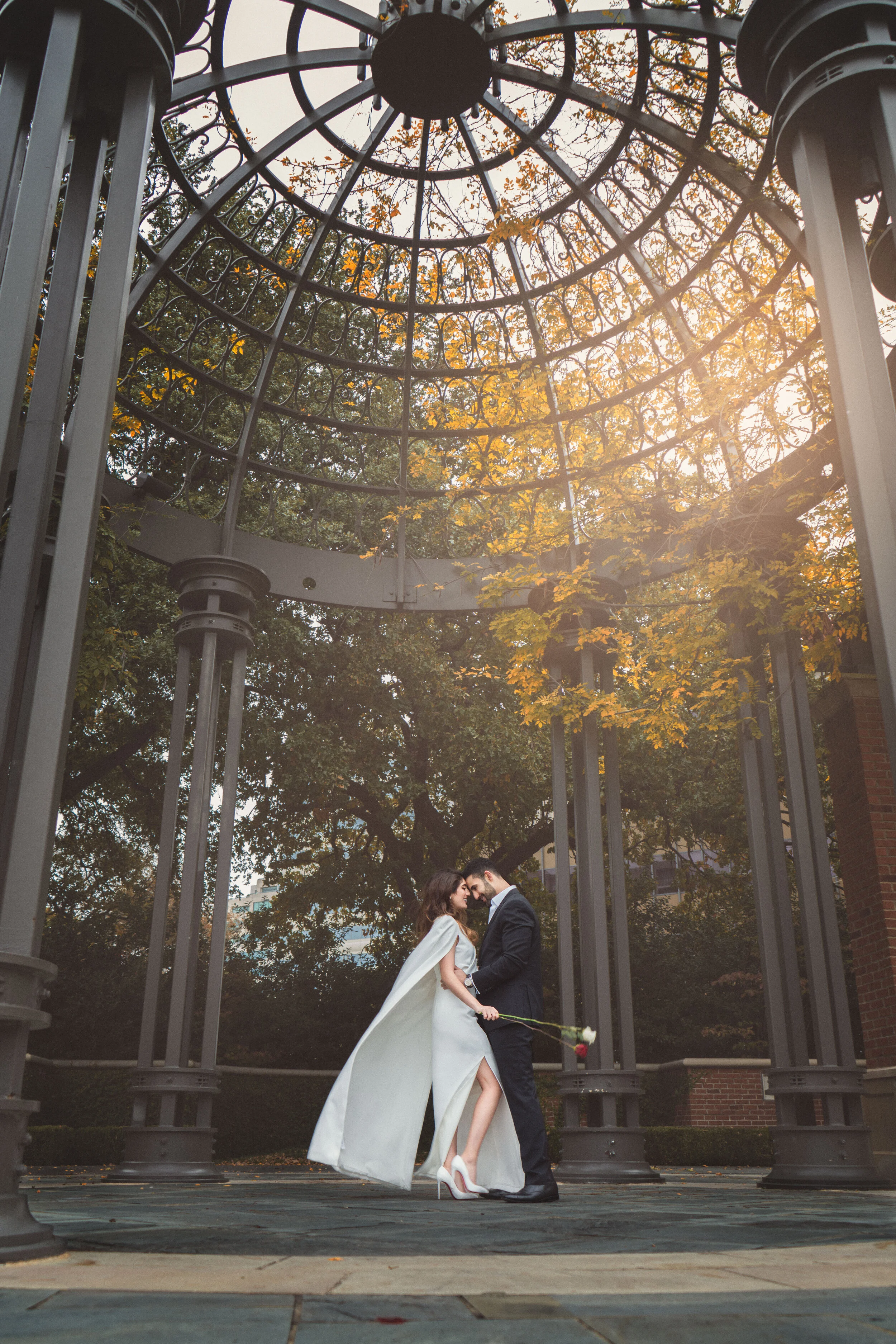 A couple embracing under a metal gazebo, with trees and sunlight in the background.