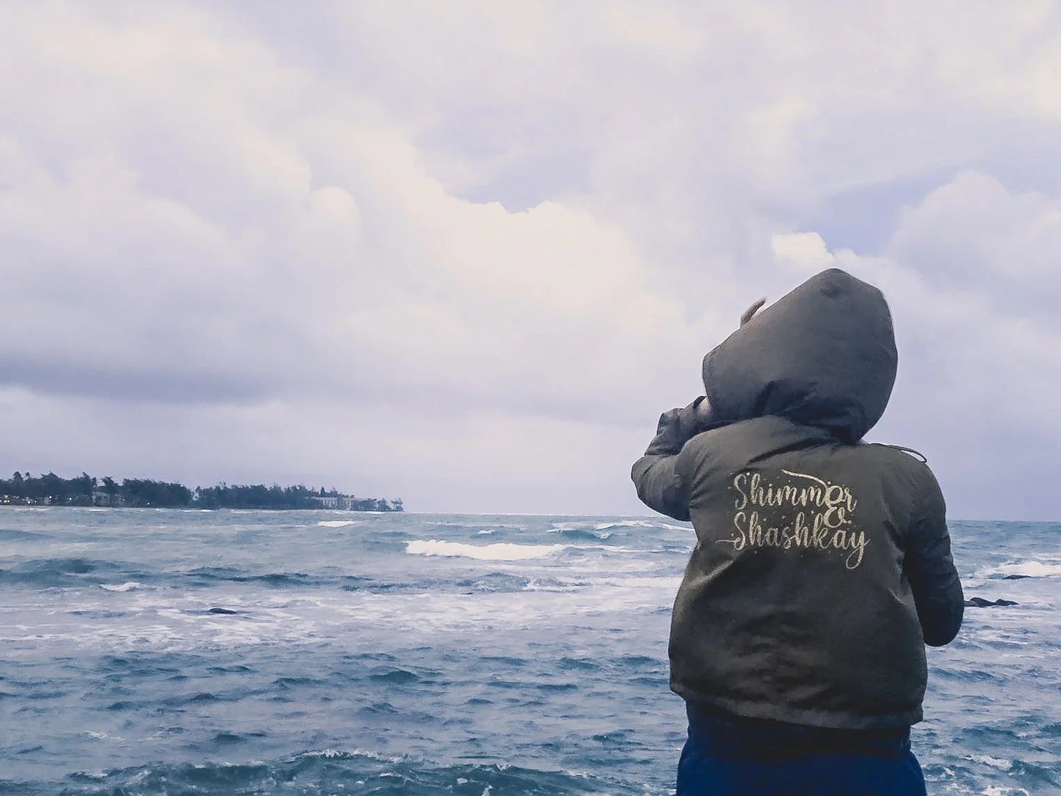 Person in hooded jacket facing ocean on cloudy day