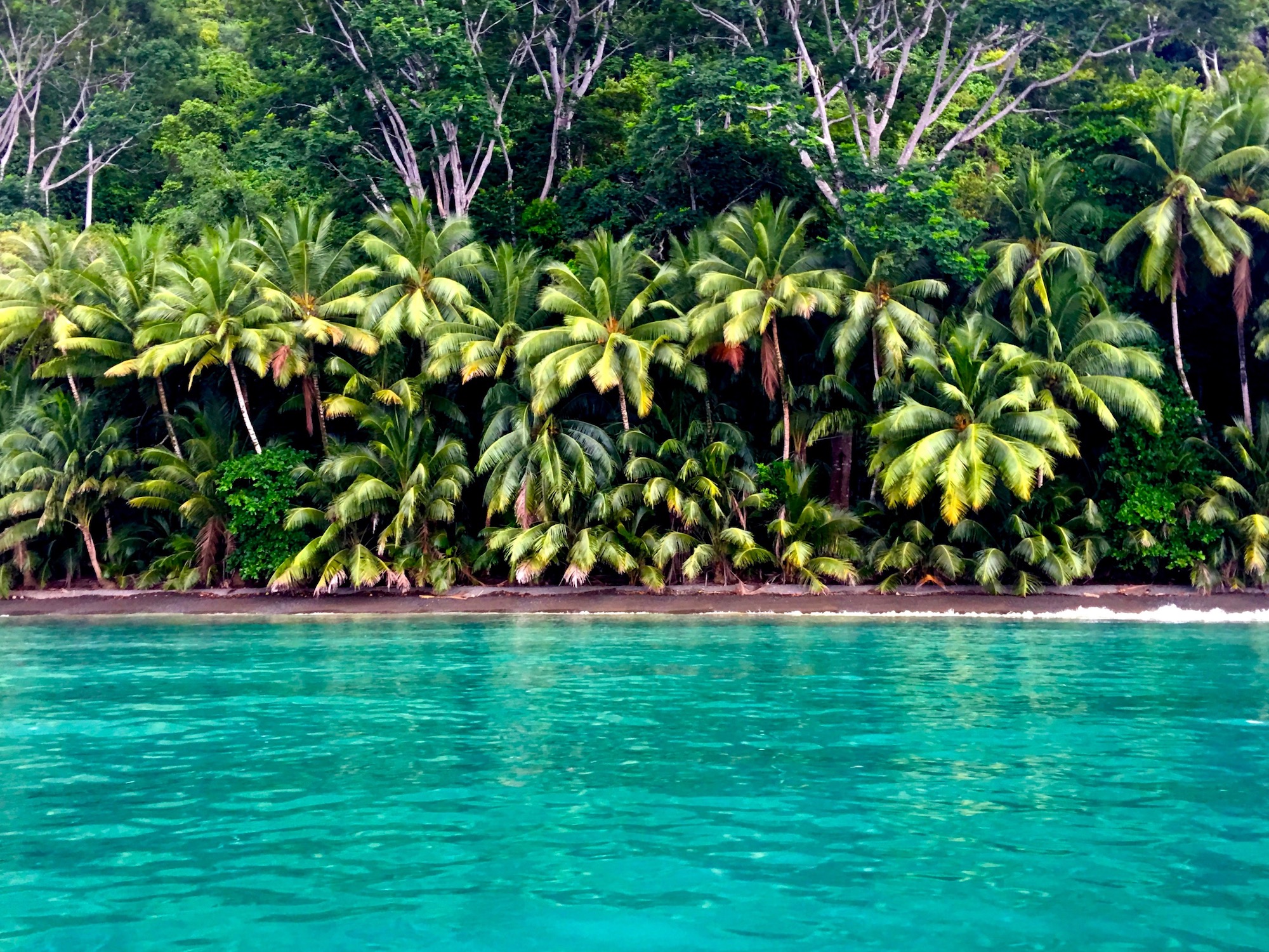 fogyókúrás tábor costa rica