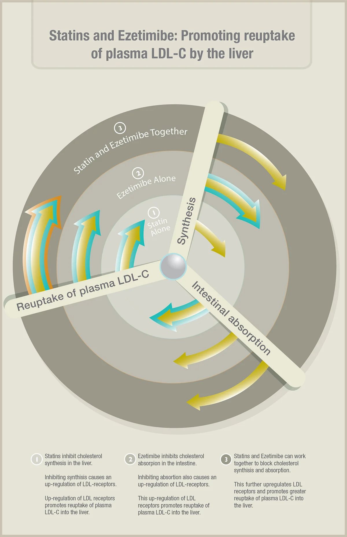 circle-arrow3.jpg