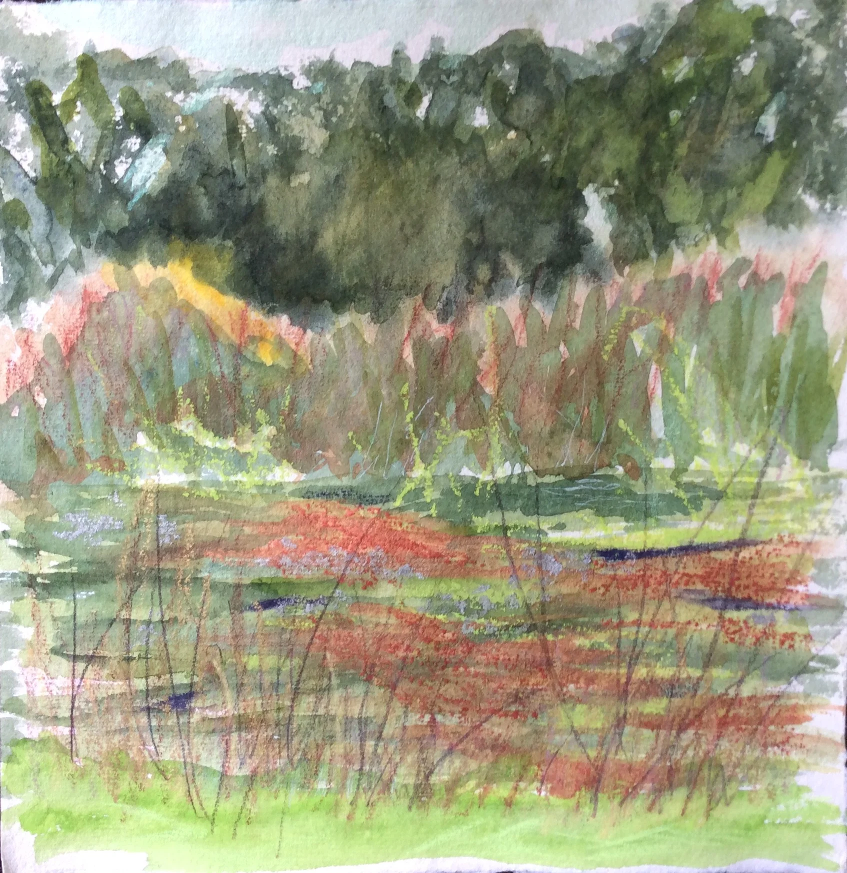 HayleRiver2.jpg