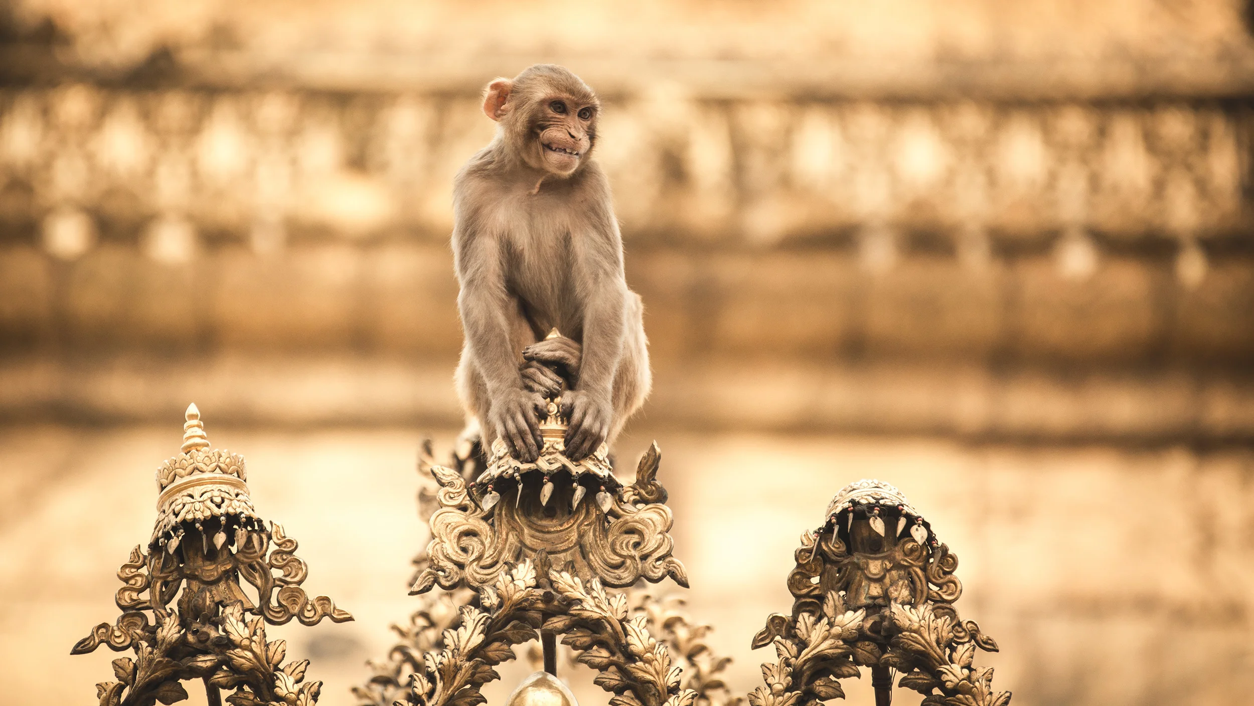 Kathmandu_by_muenchmax05.jpg