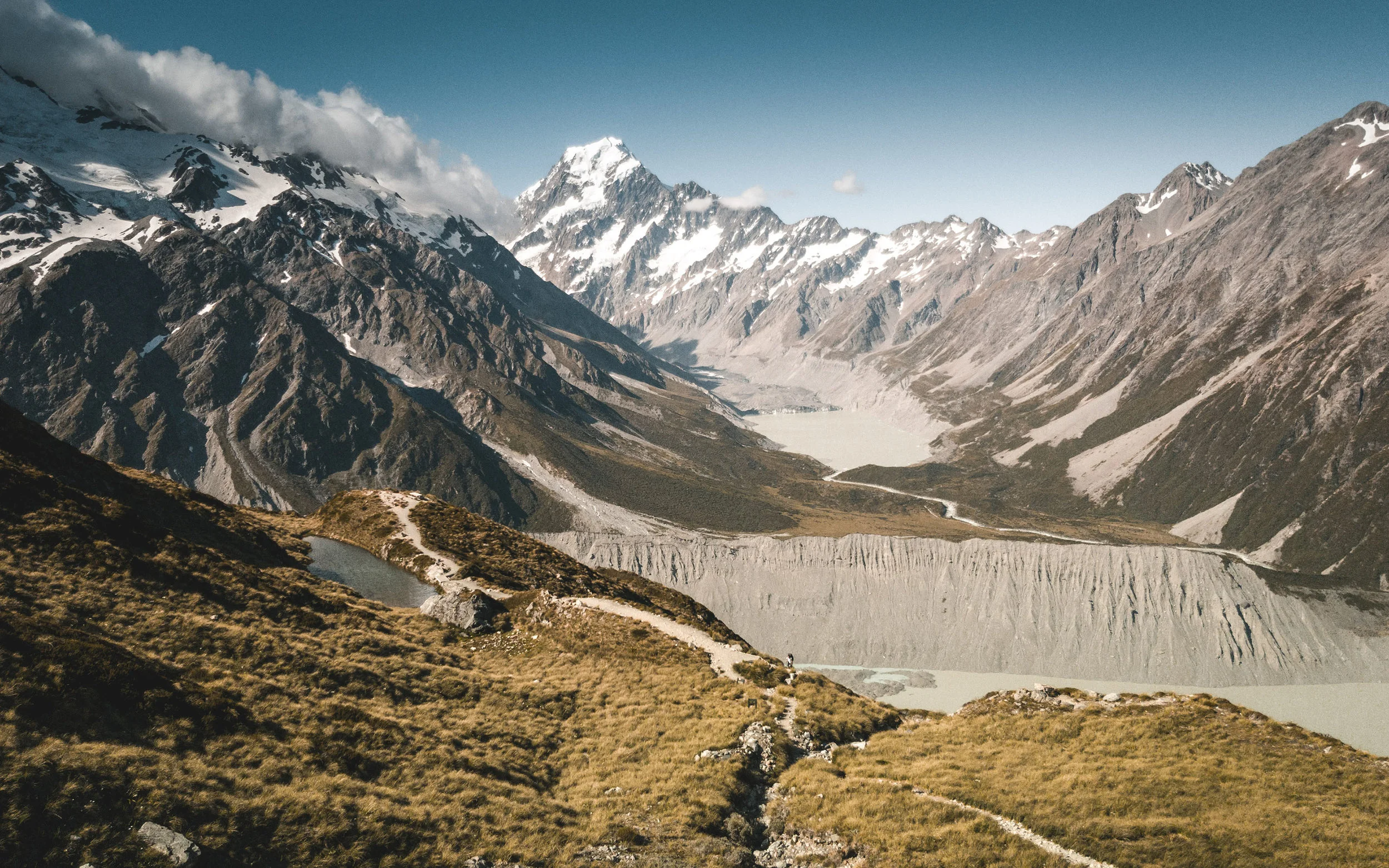 MuenchMax_NZ03.jpg