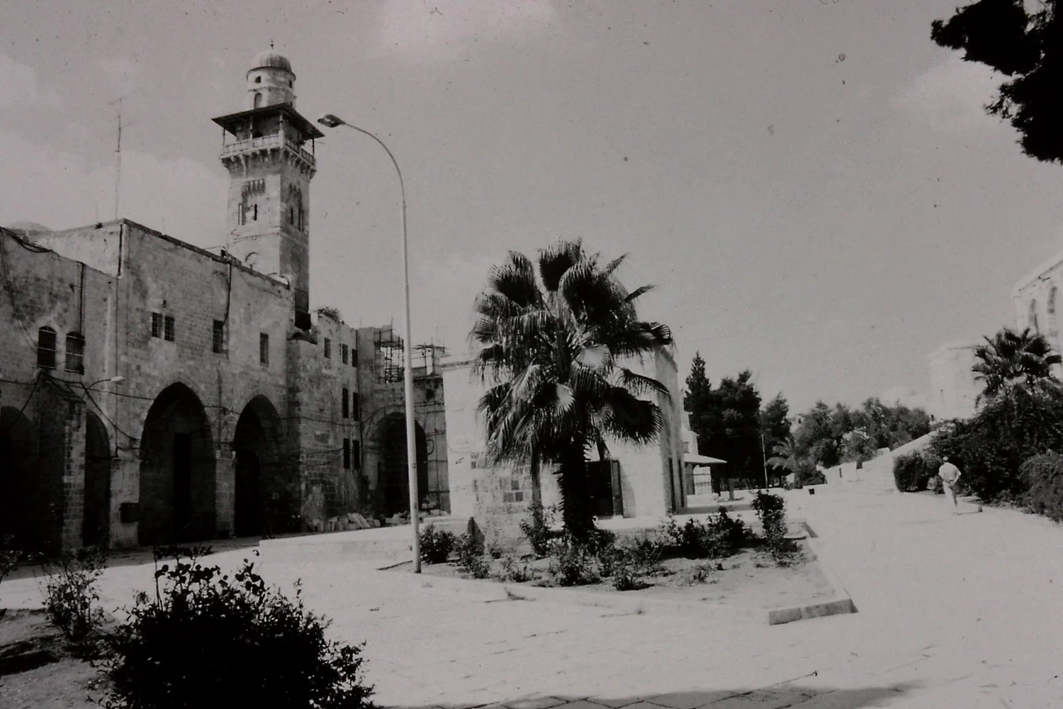 A54 view taken in summer 1990. Credit: Eleanor Scott and Gertrude Bell Project.