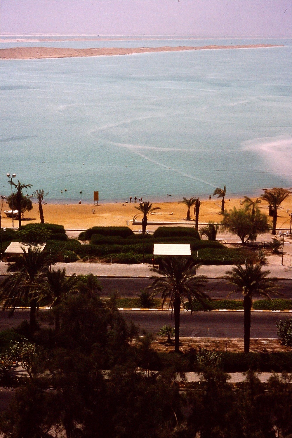 dead-sea-e-scott-6.jpg