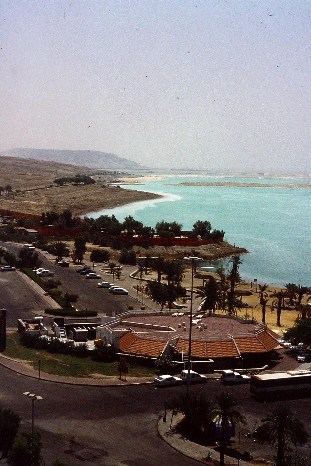 dead-sea-e-scott-3.jpg