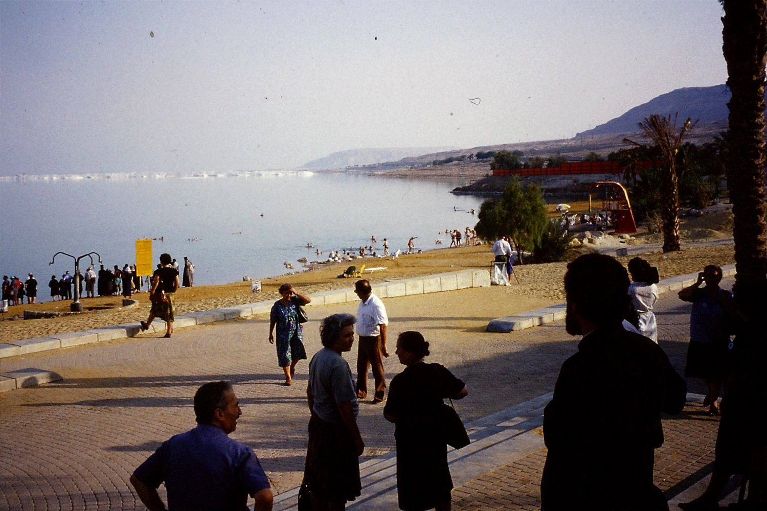 dead-sea-e-scott-4.jpg