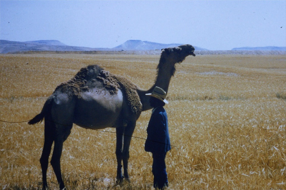 musa-salam-and-camel-1990.jpg