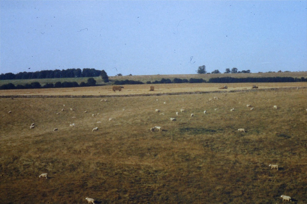 bedouin-negev-landscape-1990.jpg