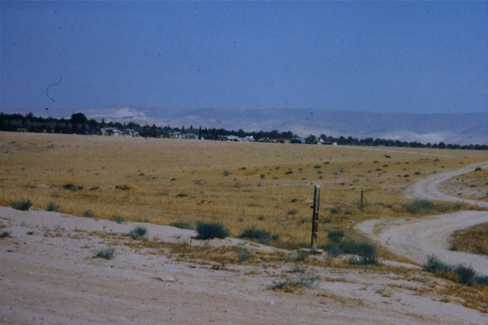 bedouin-landscape-camels-1990.jpg