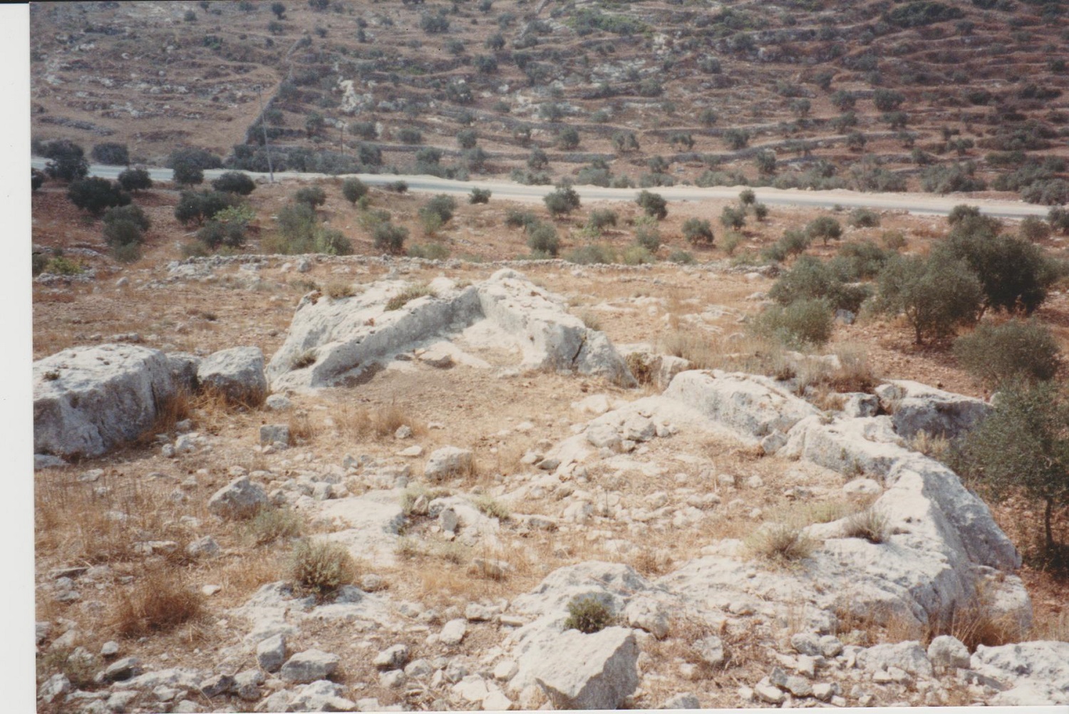 deir-saman-3.jpg