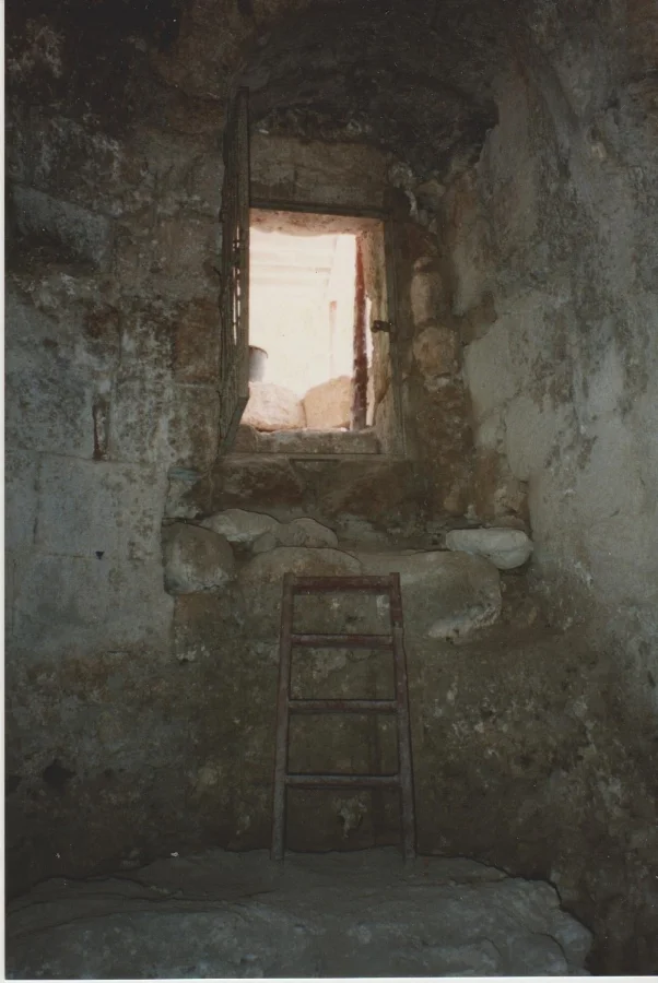 Looking outwards. Summer 1990. Credit: Eleanor Scott