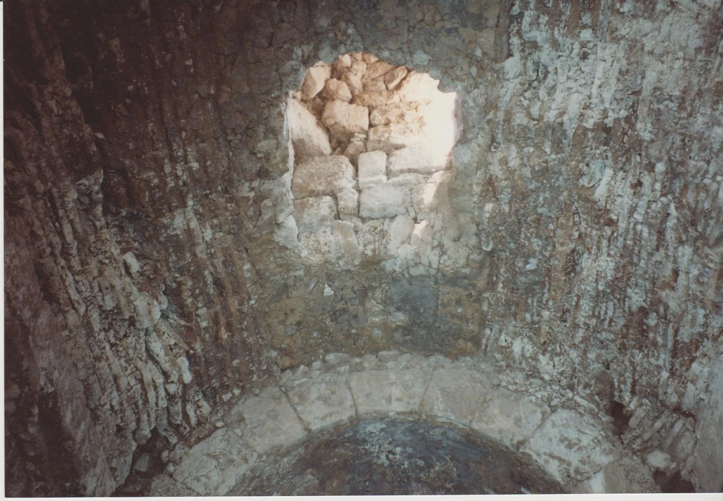 Looking upwards. Summer 1990. Credit: Eleanor Scott