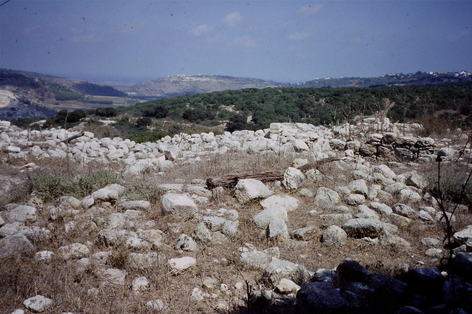 Roman farm, Carmel hills. Summer 1993. Credit: Eleanor Scott