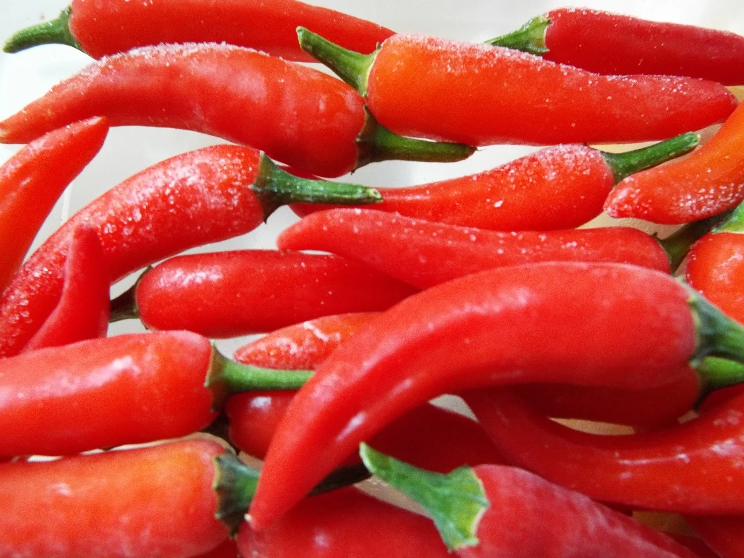 Frozen chillies. These were placed whole in a recycled takeaway tub and put in a feezer drawer