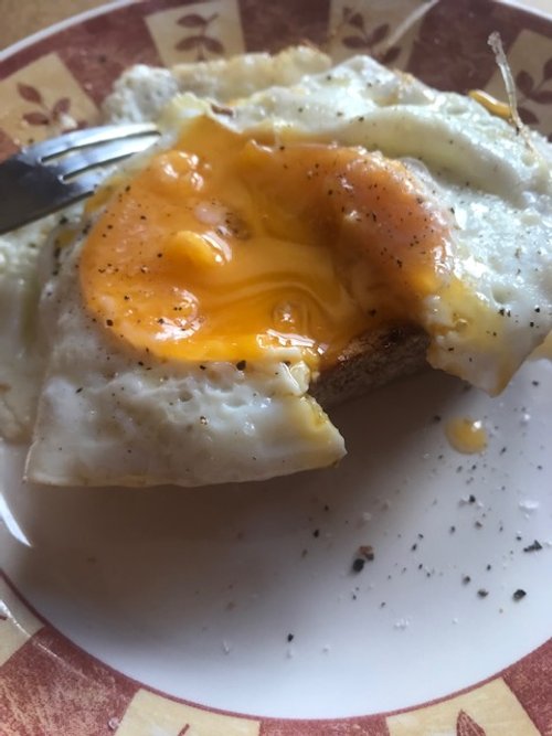 egg-on-toast.jpg