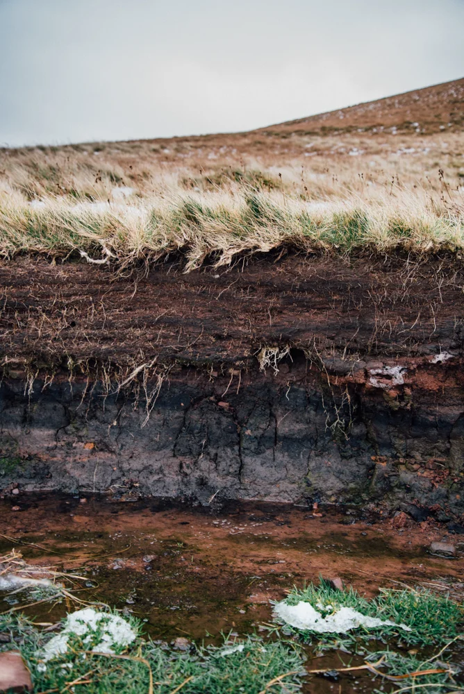 LucyGoldBlueBreconBeacons-0624.jpg
