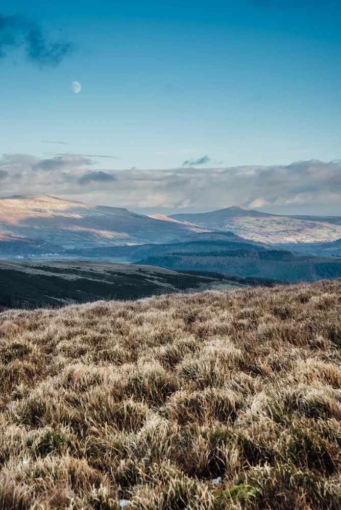 LucyGoldBlueBreconBeacons-0739.jpg