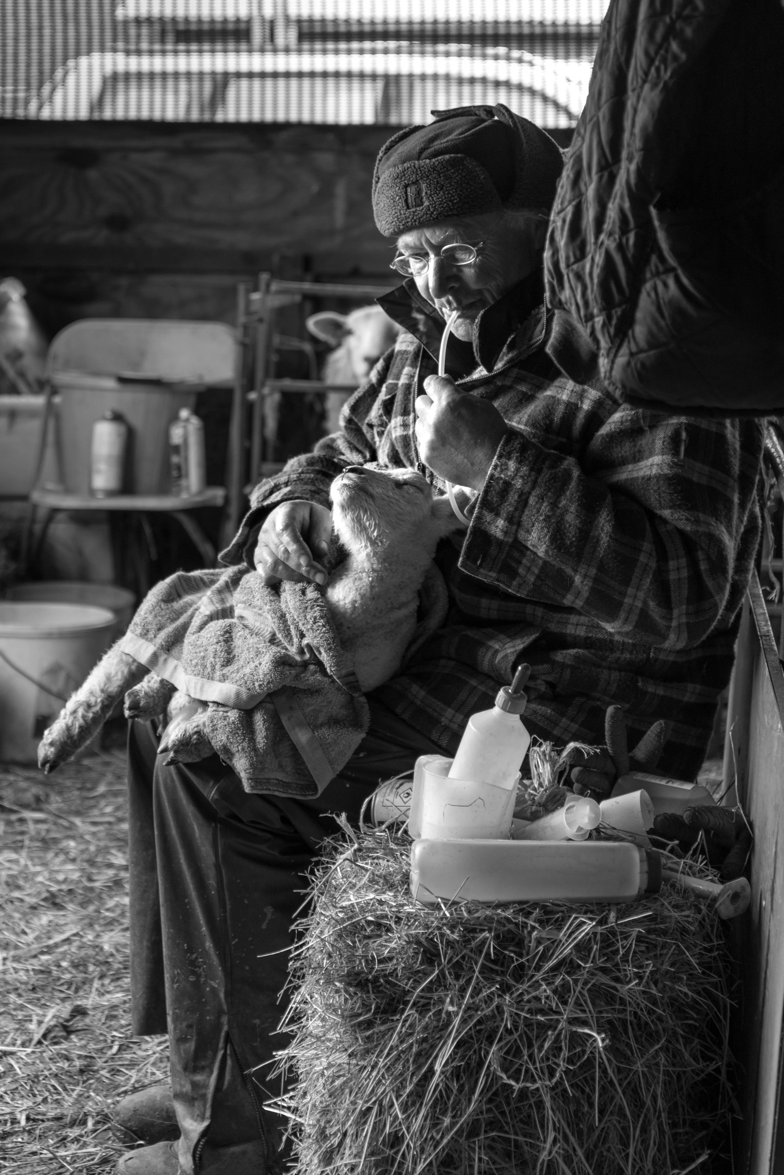Lucy Gold Simon Harpur with Lamb-3414.jpg