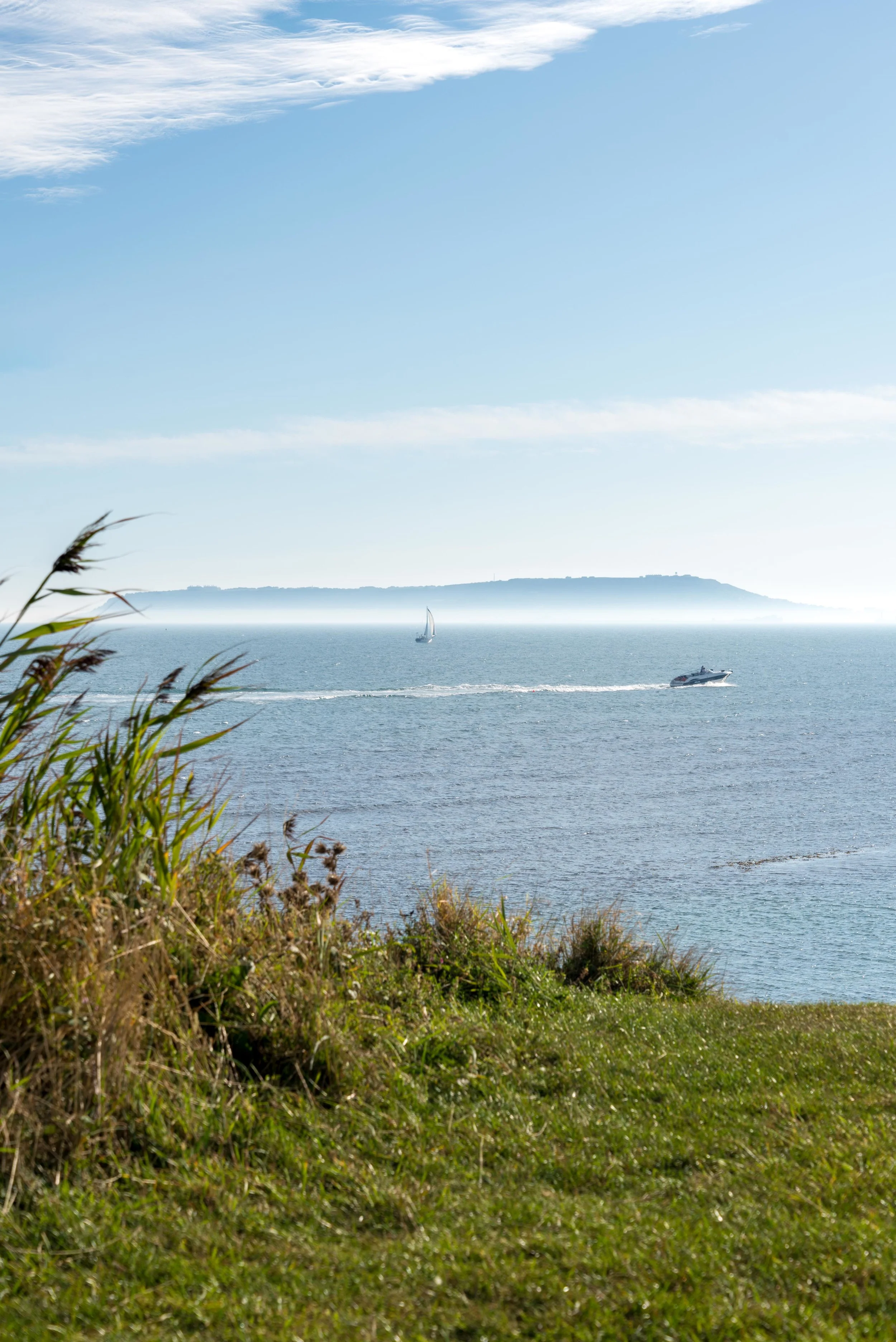 Dorset Web Jpegs-8065.jpg