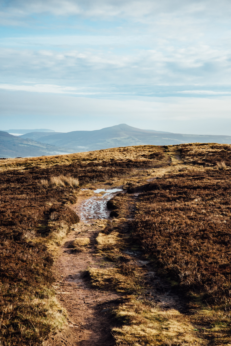 Lucy Gold Tor Y Foel-8700.jpg