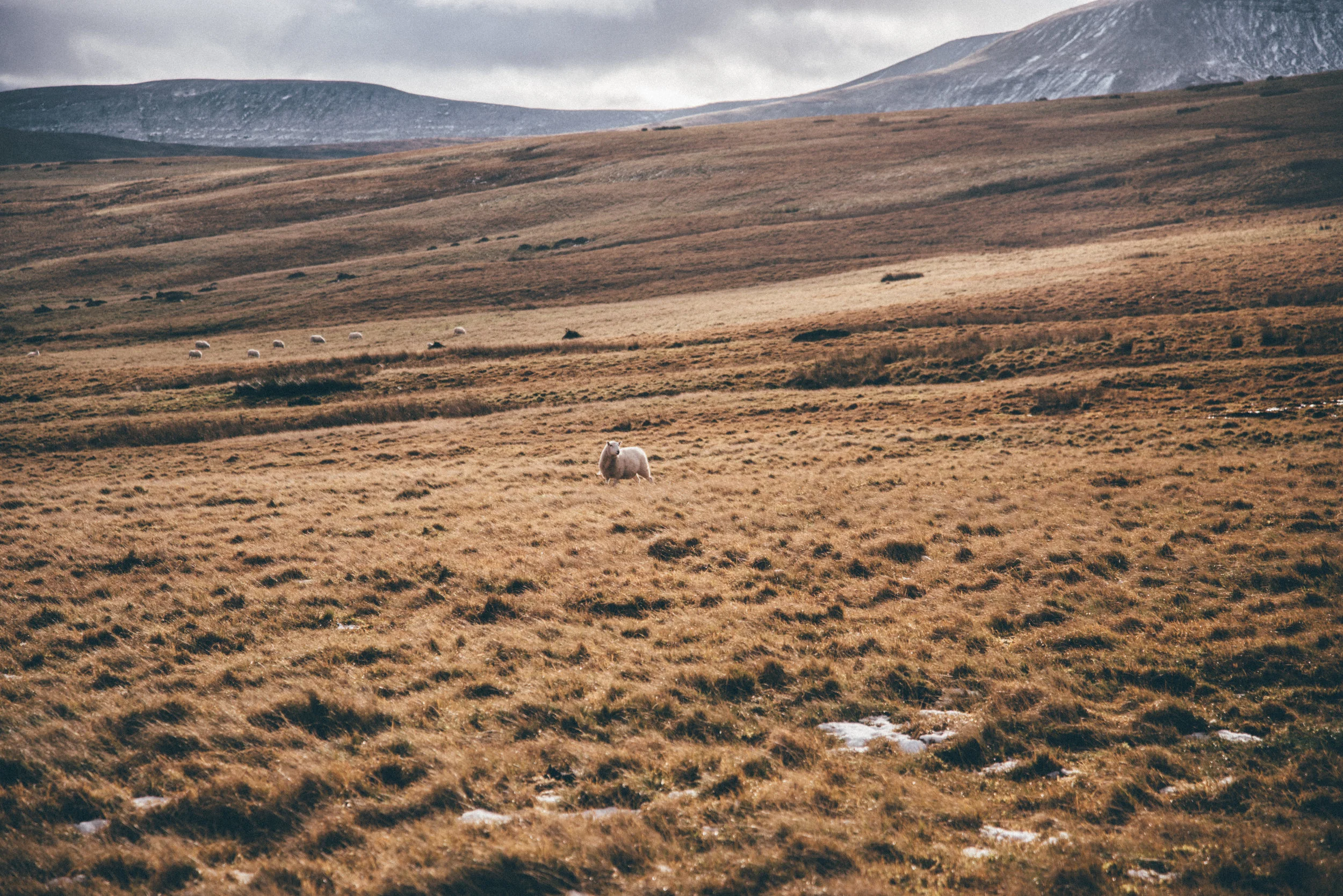 1 Blue Brecon Beacons-0548.jpg