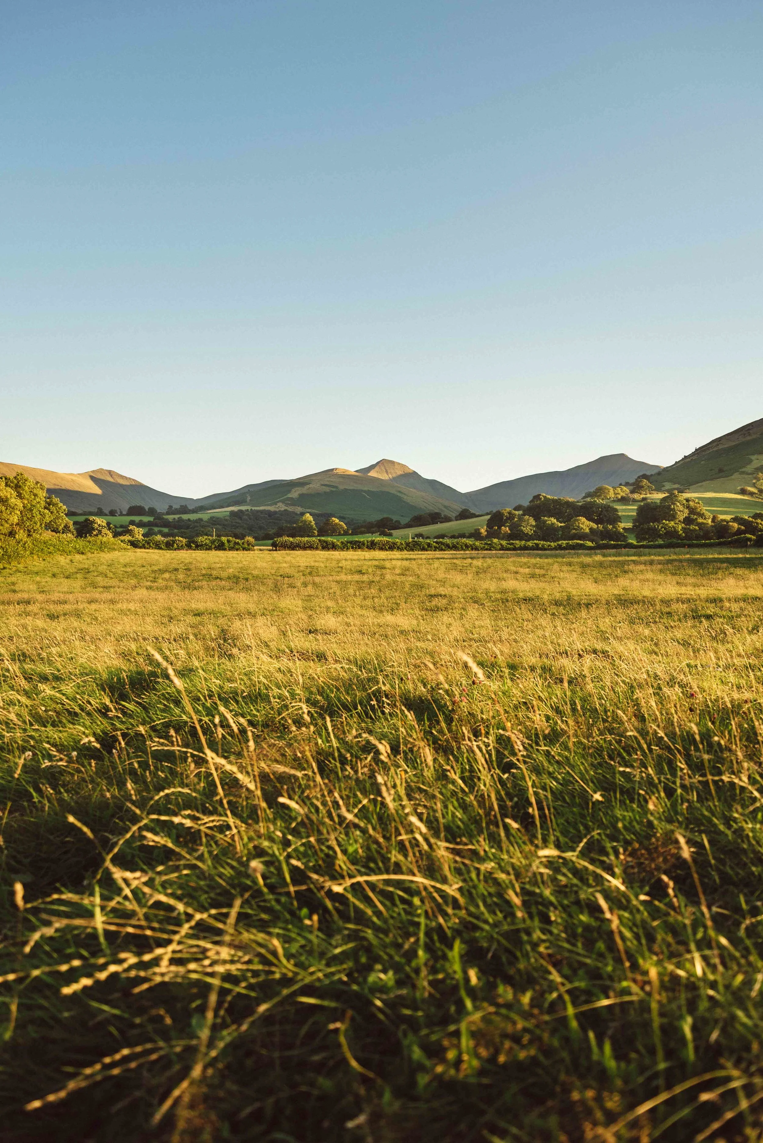 2 Brecon Beacons Summer-2540.jpg