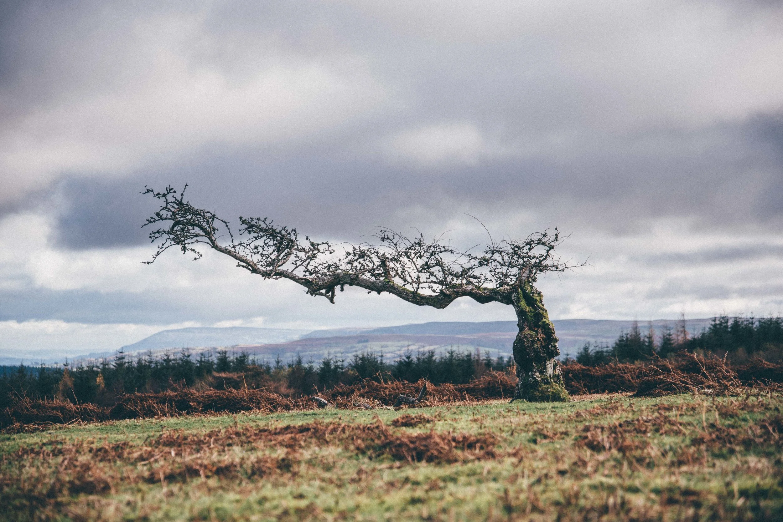 1 Blue Brecon Beacons-0527.jpg