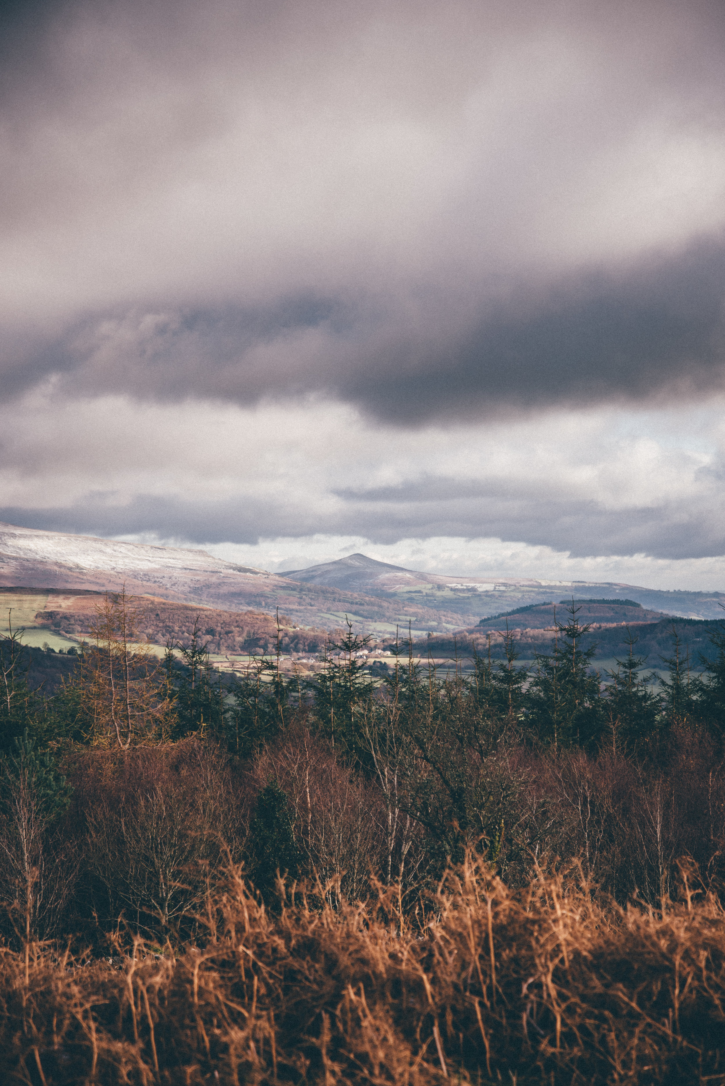 1 Blue Brecon Beacon-0517.jpg