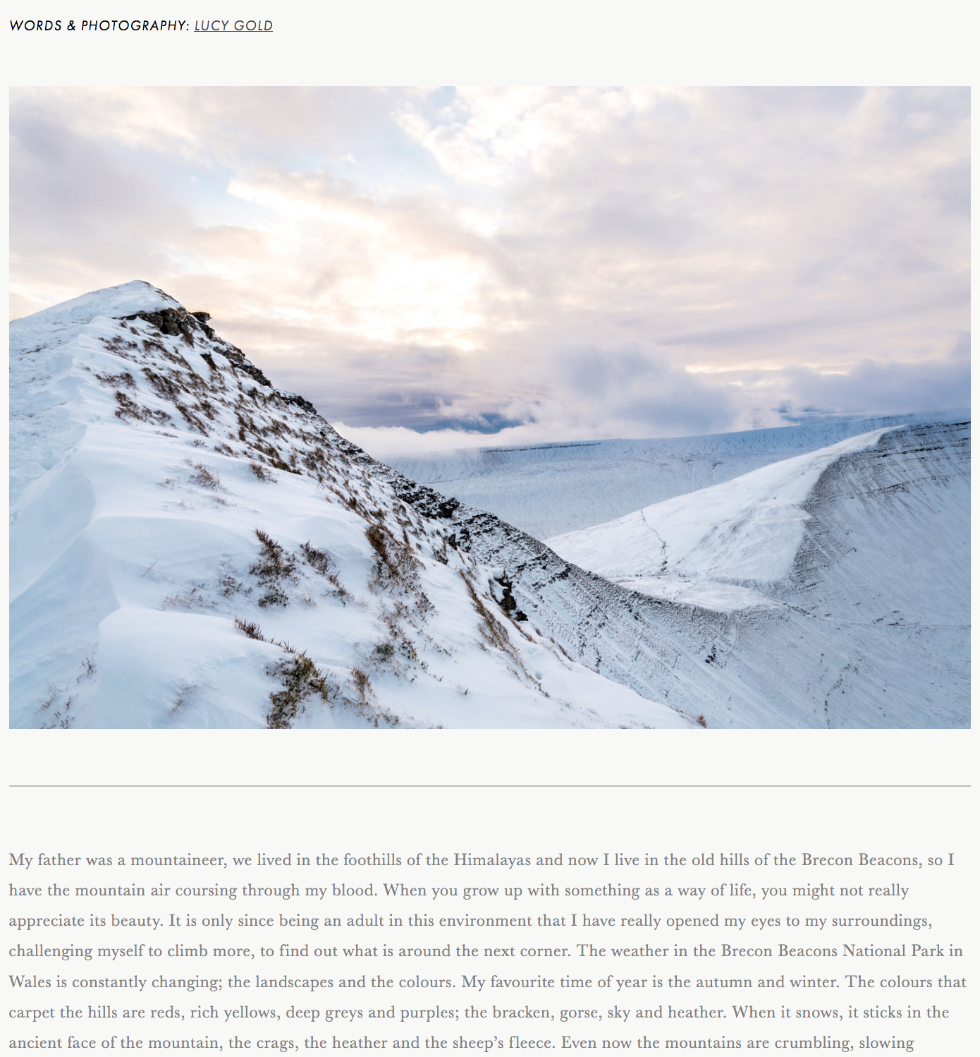 Screen Shot 2018-01-24 at 10.19.52.png