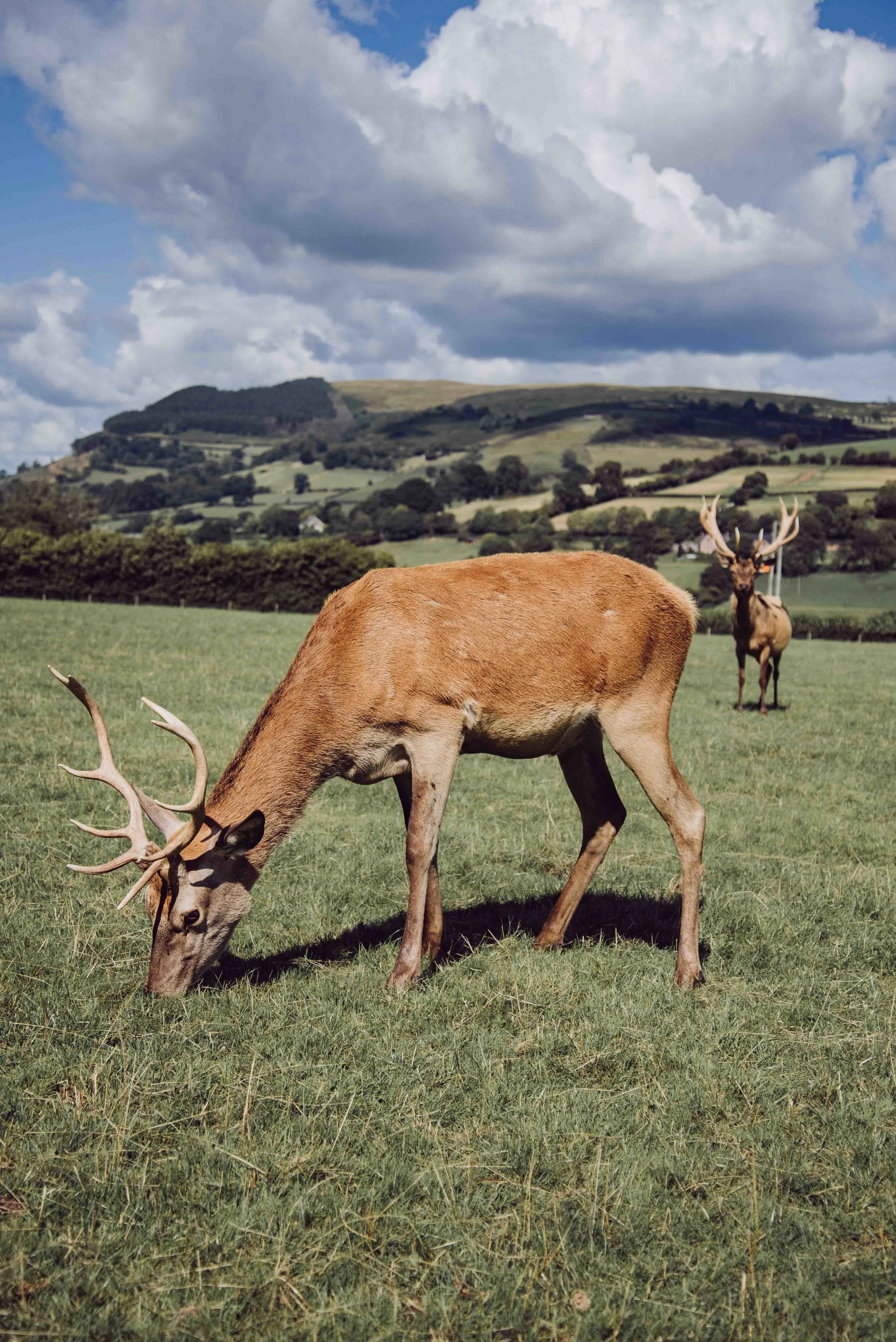 Welsh Brecon Beacons Wedding-5098.jpg