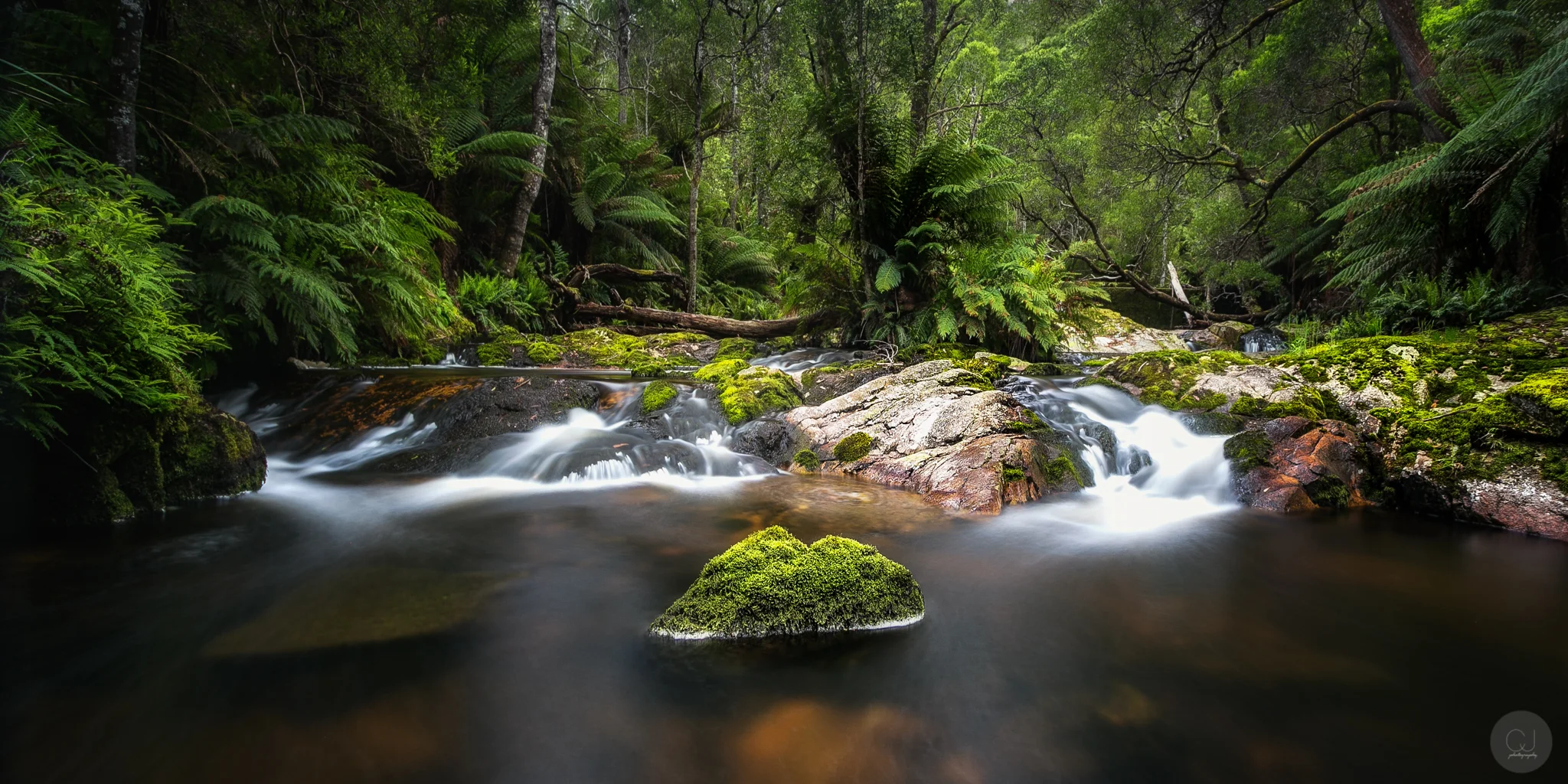 Halls Falls | Pyengana | Tasmania