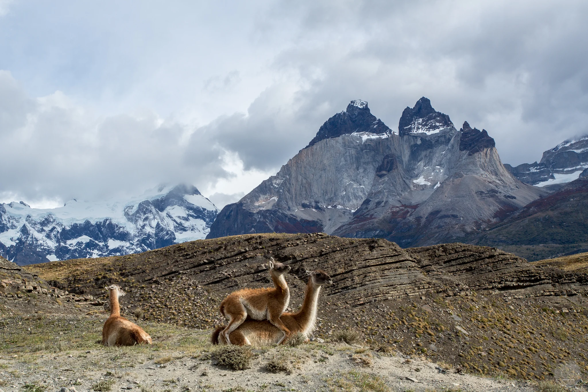 Torres del Paine National Park