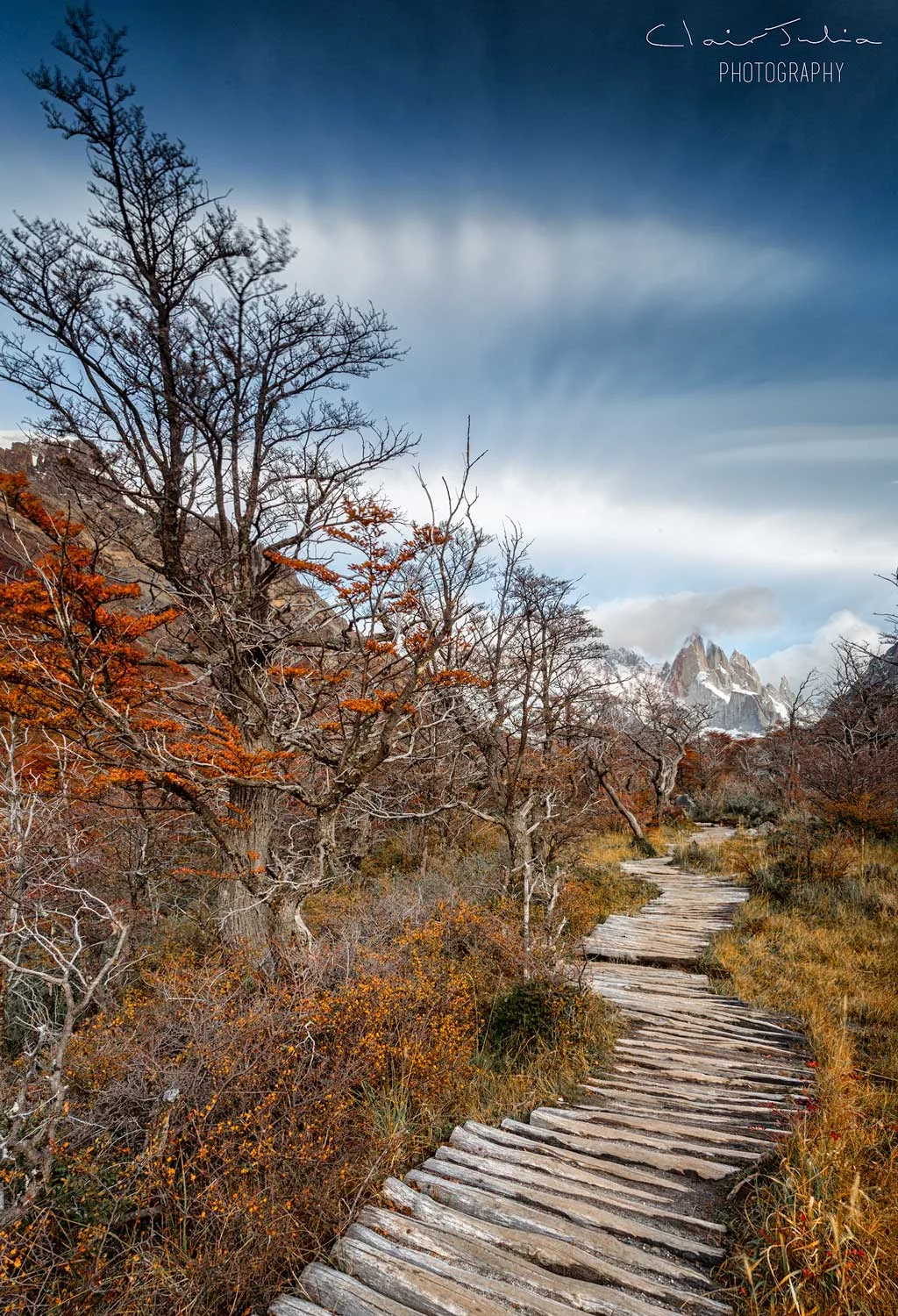 Path-to-Cerro.jpg