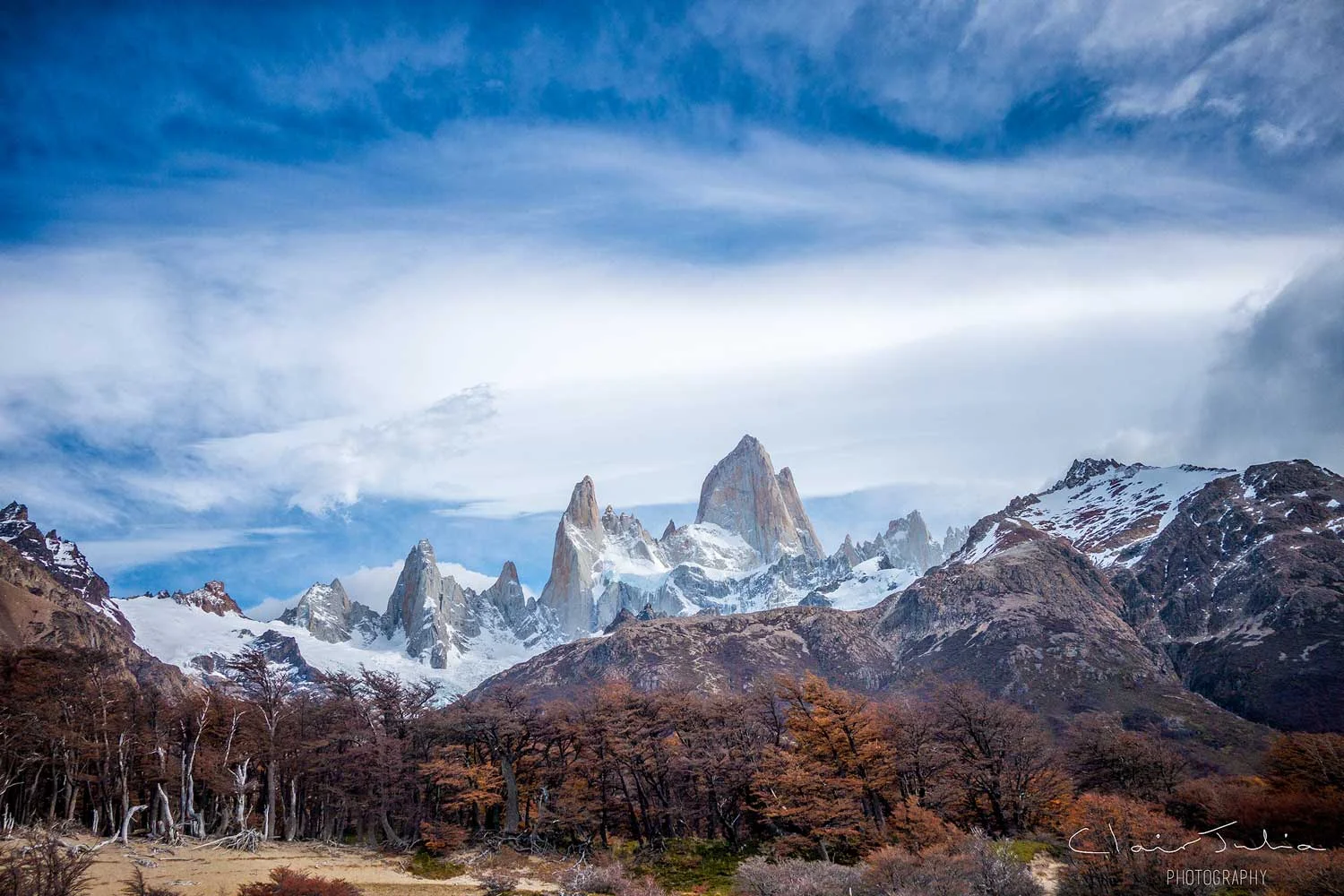 Torres-trees-front.jpg