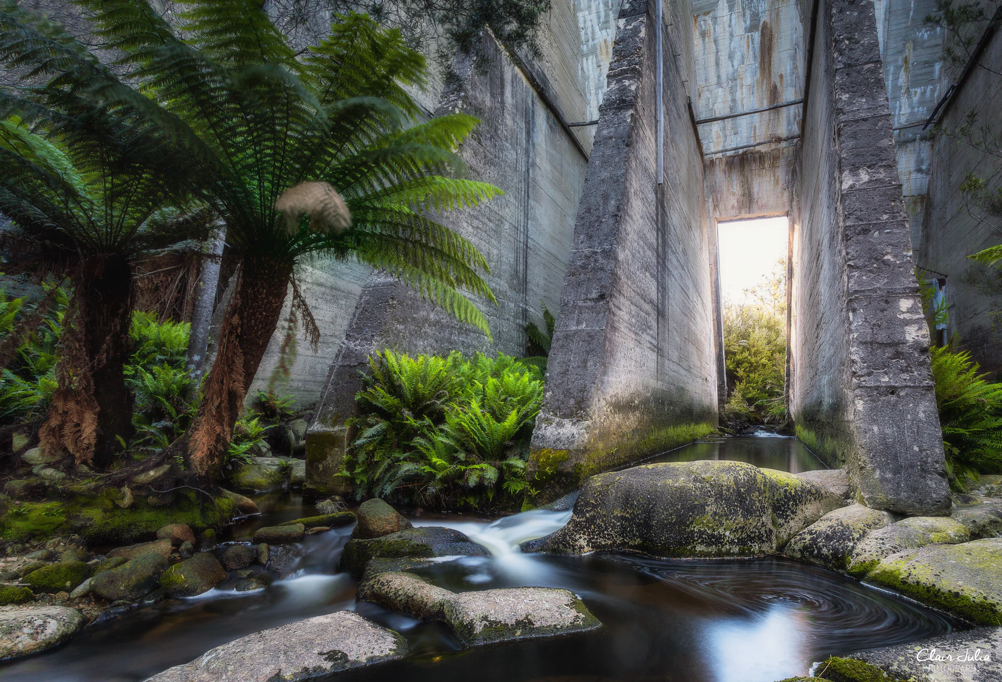 Mt Paris Dam | Tasmania