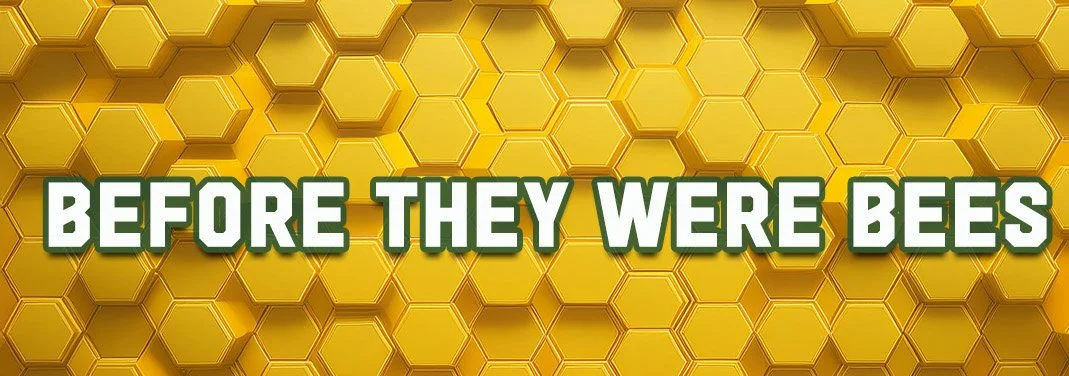 Before They Were Bees Web Banner.jpg
