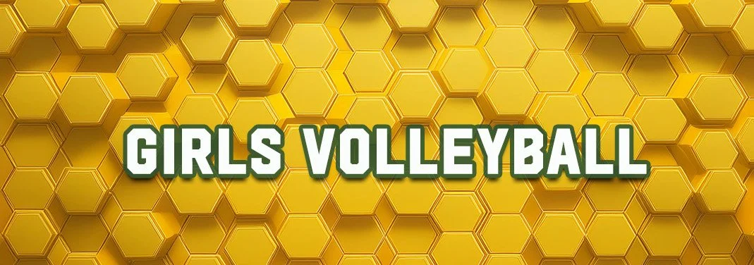 Girls Volleyball Web Banner.jpg