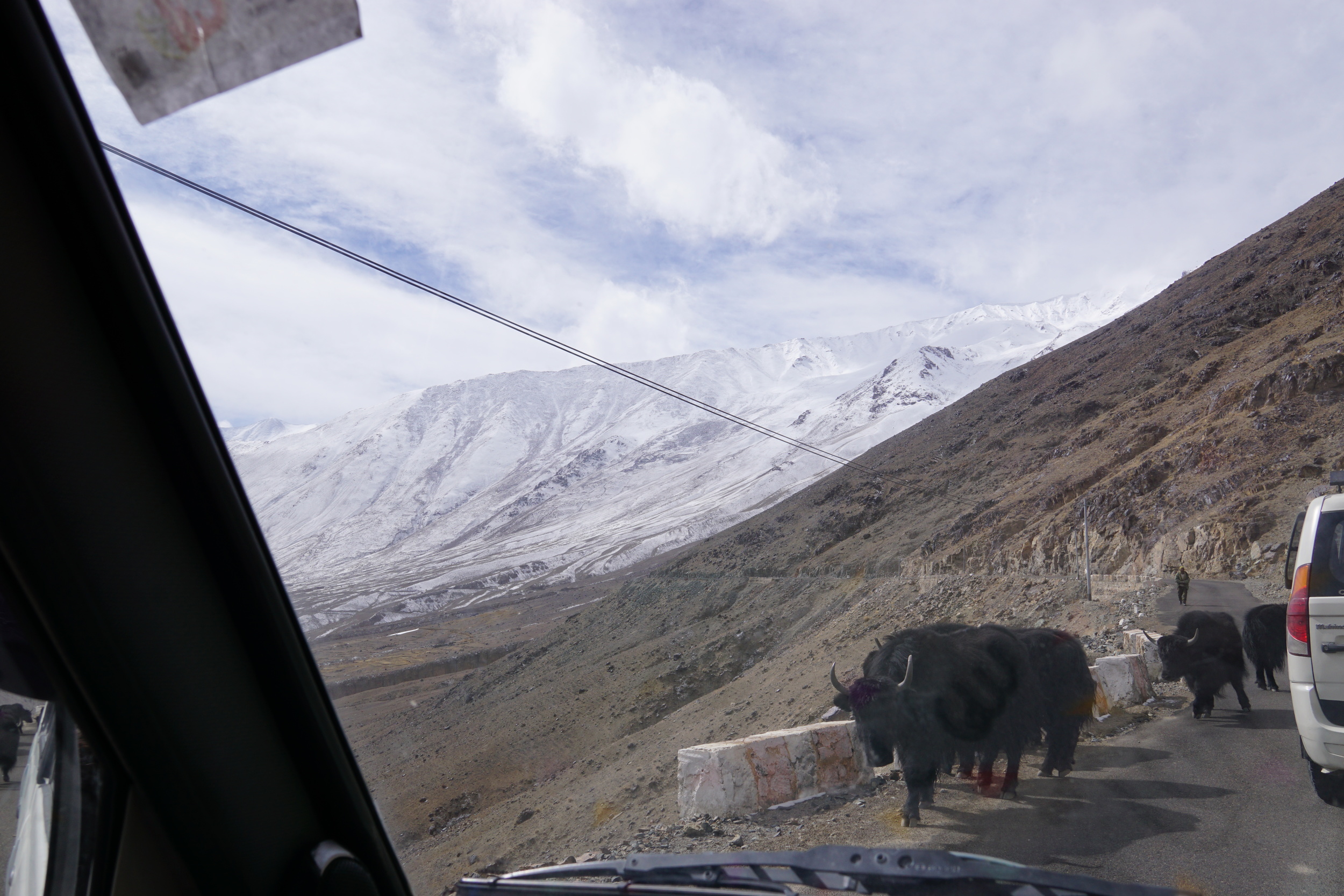 Our 5 hour journey to Nubra Valley begins with yaks on the road and no mountain goats sadly!