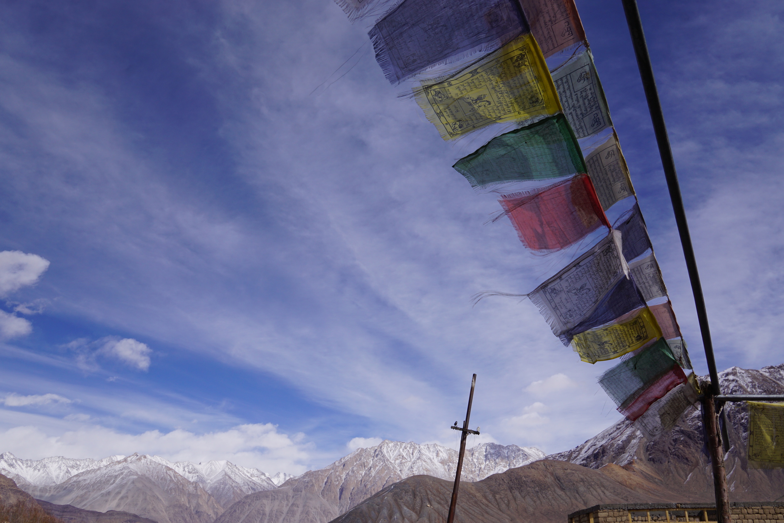 The fluttering prayer flags - a sight to behold while I finish that second bowl of maggie.