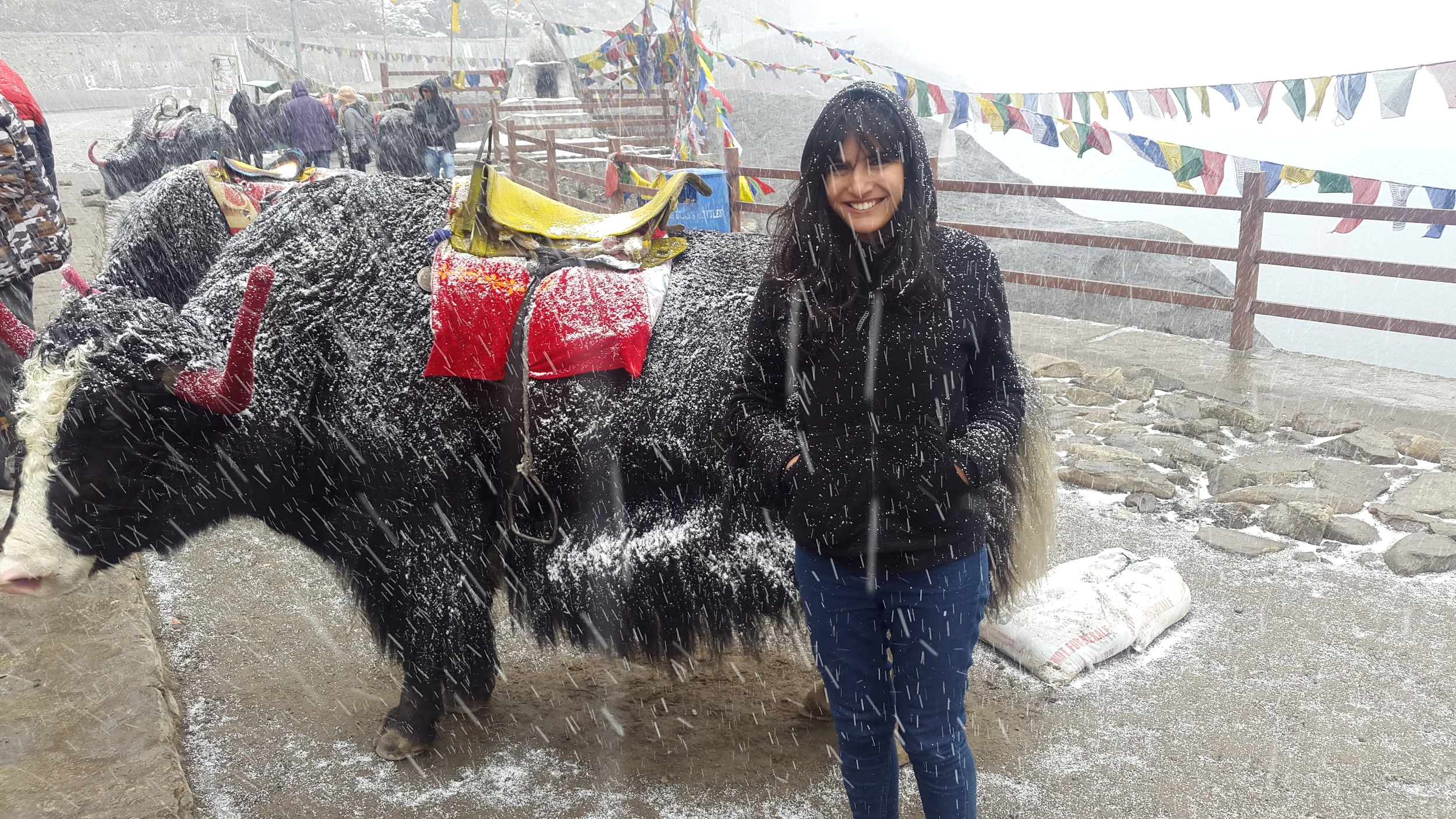 i kid you not, i was getting attacked by some vicious looking snowfall.