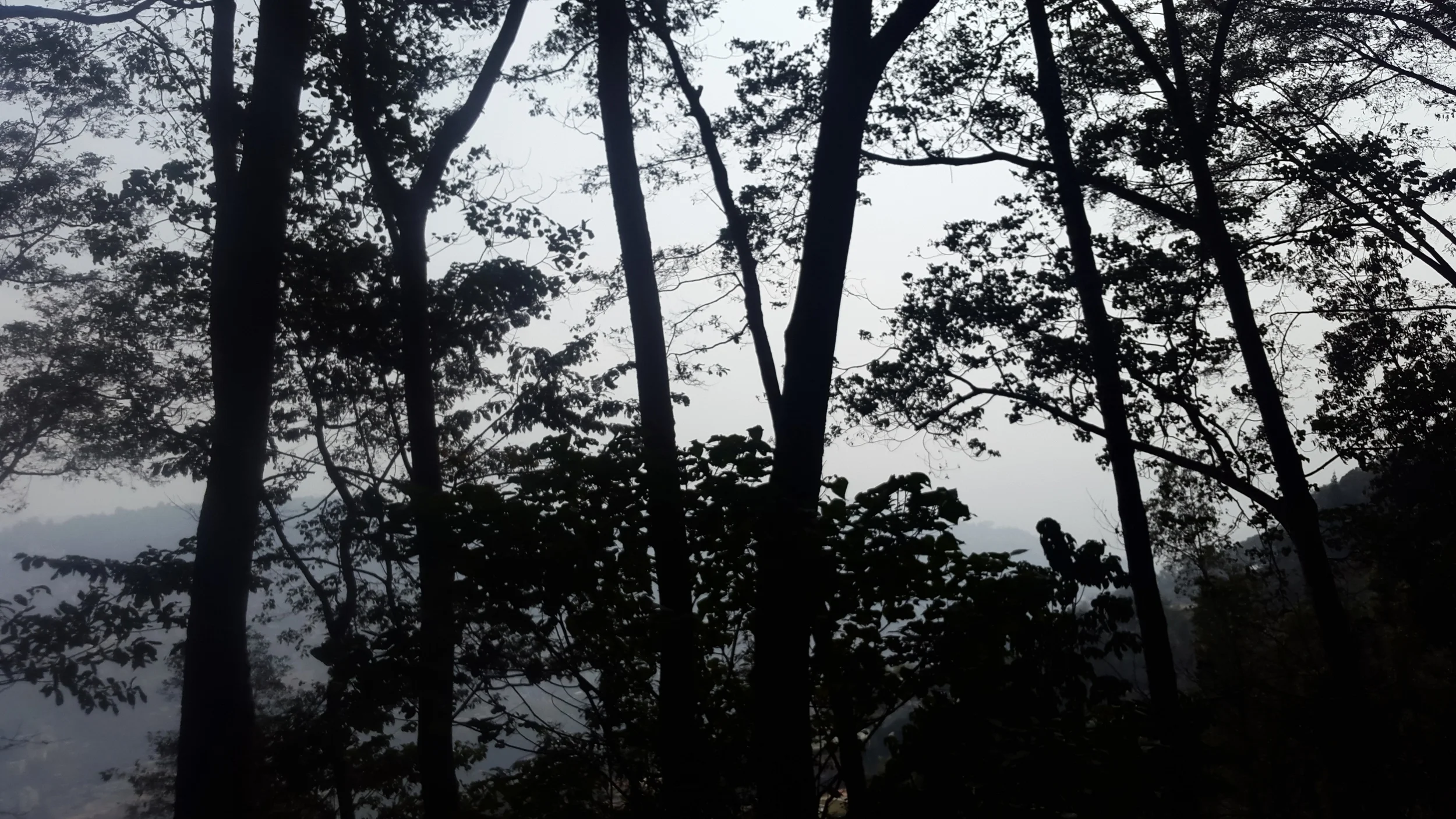 It was night time, and we weren't sure that the place we were staying at would even wait for us.