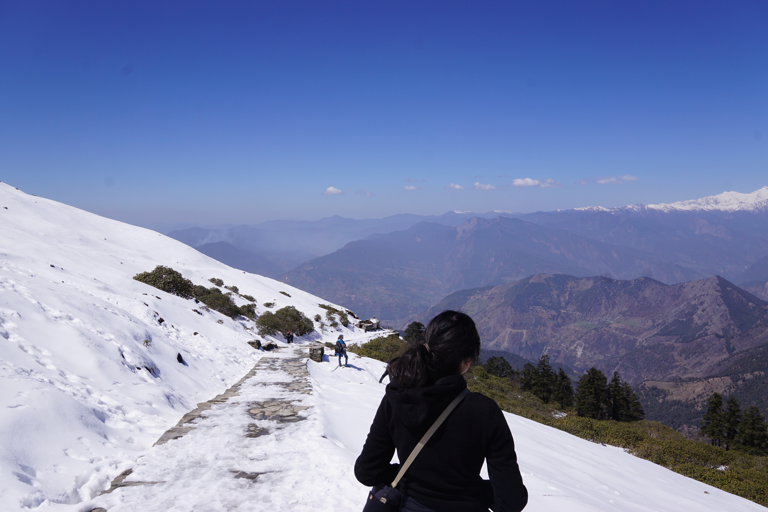 And the landscape changed drastically from trees to just snow. It didn't matter that I was not wearing waterproof shoes, somehow my brave feet knew that the temple grounds would bless us.